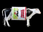 gignoux - robot vache 5