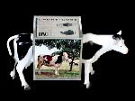 gignoux - robot vache cube-photo